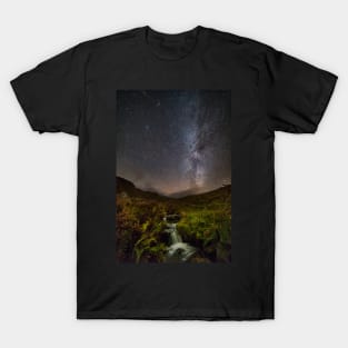 Craig Cerrig-gleisiad, Brecon Beacons National Park, Wales T-Shirt